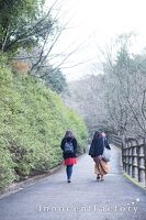 山中渓周辺ロケ