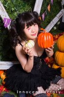 ハロウィンセット