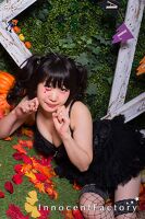 ハロウィンセット