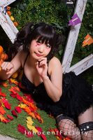 ハロウィンセット