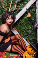 ハロウィンセット
